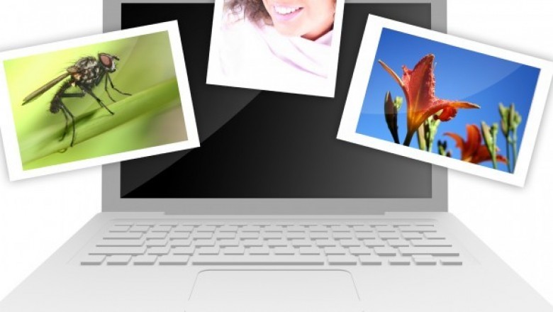 Darmowe programy do obróbki zdjęć. W czym obrabiać zdjęcia na komputerze?