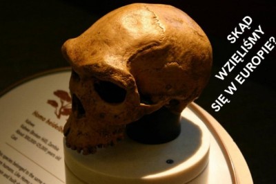 Homo Sapiens - Początki ludzkości - cały film dokumentalny za darmo z lektorem.