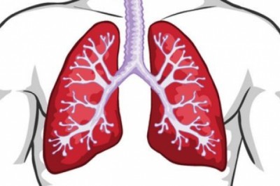 Urosła mu w płucach jodła?