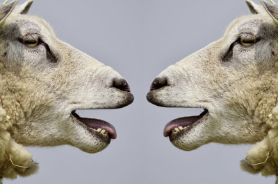 Test na komunikatywność online: Czy jesteś komunikatywna?