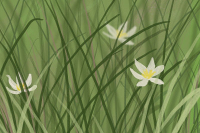 Reanimacja kwiatów po wakacyjnym wyjeździe